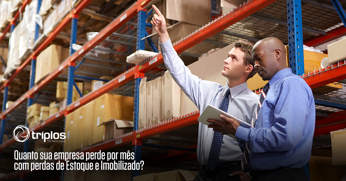 No momento, você está visualizando Perdas de Estoques e Imobilizado