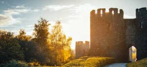 Leia mais sobre o artigo Pedras no caminho? Vou juntar e construir meu castelo: o software de empresas para crescer