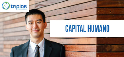 Leia mais sobre o artigo Capital Humano: saiba o que é e por que é a parte mais importante da empresa