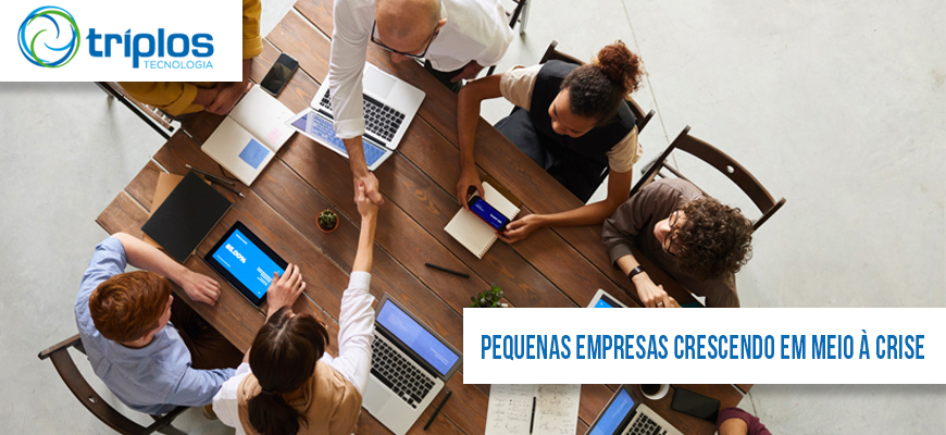 Leia mais sobre o artigo Como fazer para uma pequena empresa crescer em meio à crise