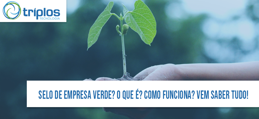 Leia mais sobre o artigo O selo de empresa verde está em alta? O que é o selo de empresa verde? Vale a pena comprar dessas empresas?