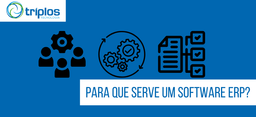 para que serve o software erp